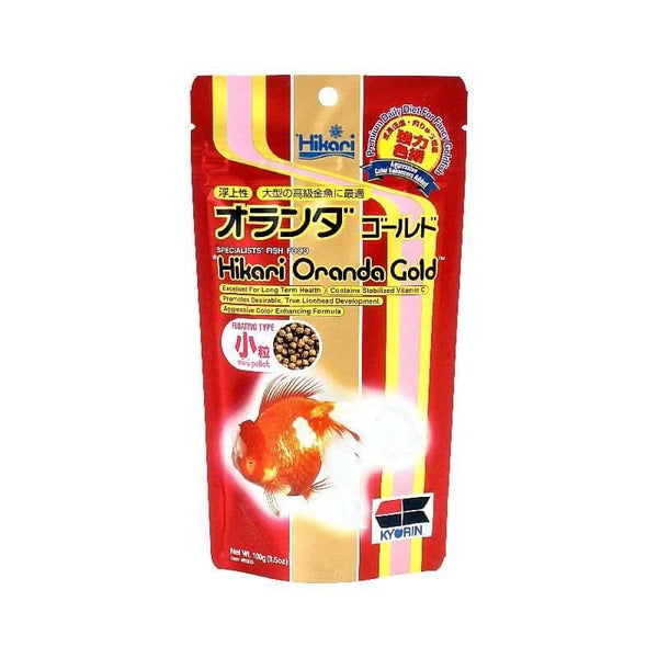 Hikari Oranda Gold Mini